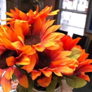 Meet your Posher, Tilly